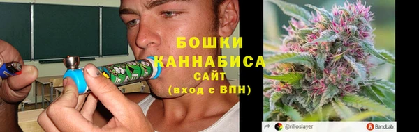 таблы Богородицк