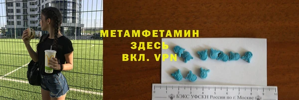 индика Богданович
