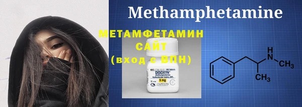 индика Богданович
