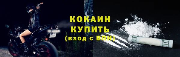 индика Богданович