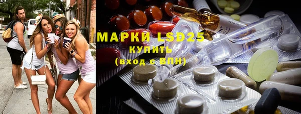 индика Богданович