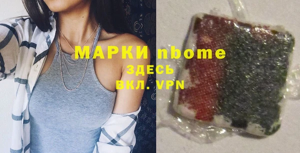 индика Богданович