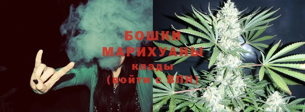 крисы Бугульма