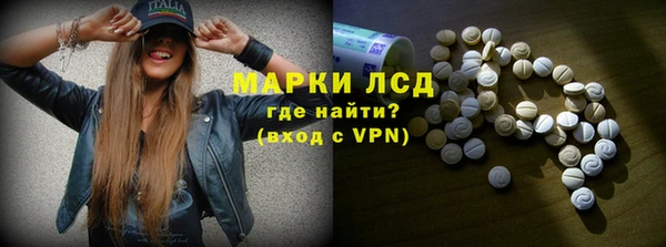 индика Богданович